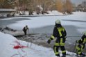 Hund und Person Eiseinbruch Koeln Fuehlinger See P084